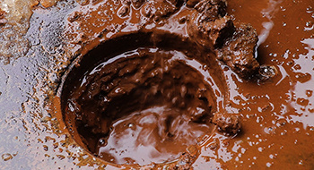 リバーサルクリーニング　無料管内調査