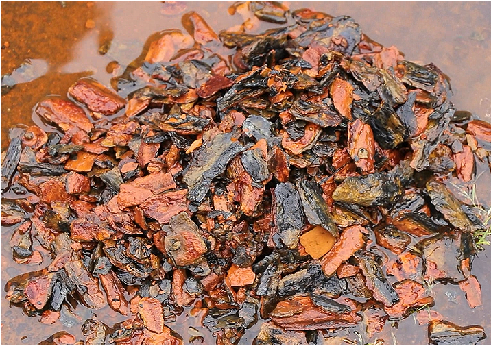 リバーサルクリーニング